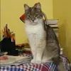 Отзыв от Карина Судакова